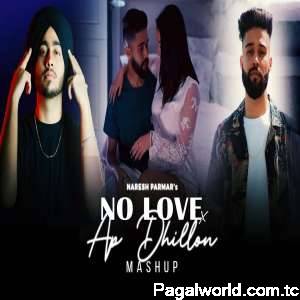 No Love Vs AP Dhillon Mashup