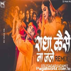 Radha Kaise Na Jale Remix