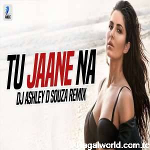 Tu Jaane Na (Remix)