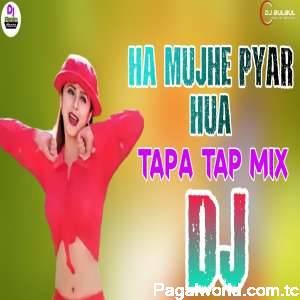 Ha Mujhe Pyar Hua Pyar Hua Allah Miya Remix