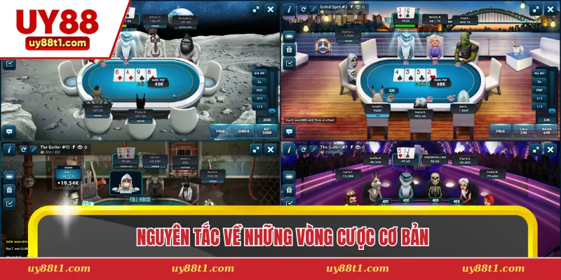 Nguyên tắc về những vòng cược cơ bản