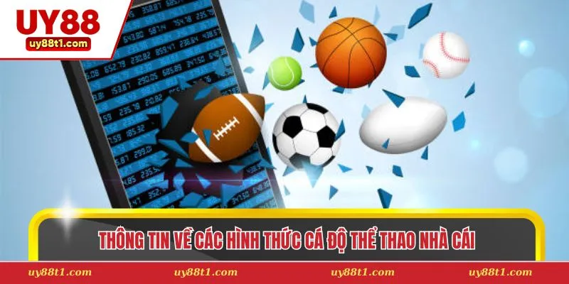 Thông tin về các hình thức cá độ thể thao nhà cái